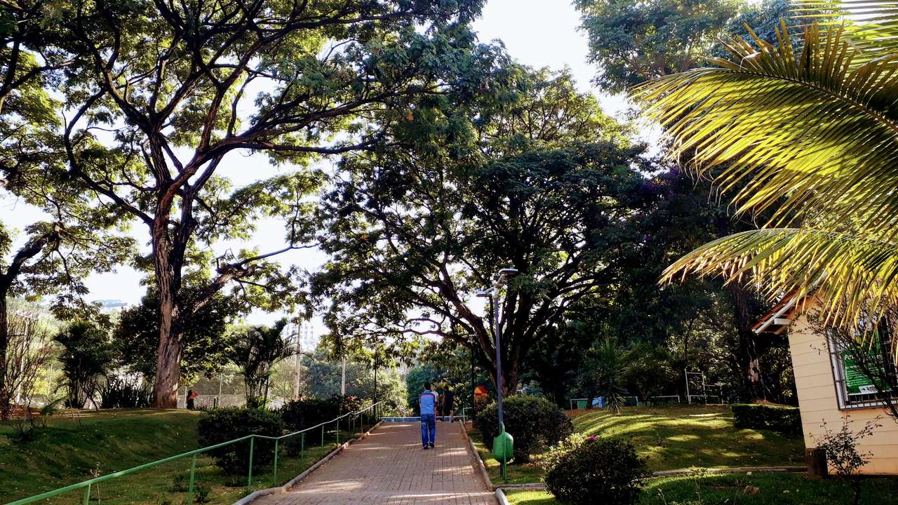Passeio em Família - Parques de Natureza em Belo Horizonte