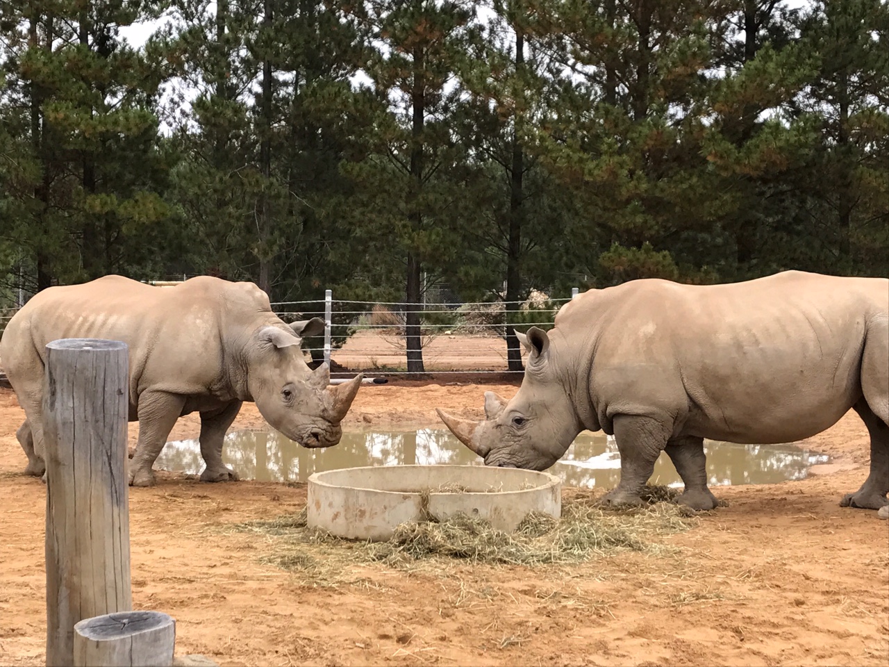 Year 3/4 Middle Learning Community: National Zoo and Aquarium Visit