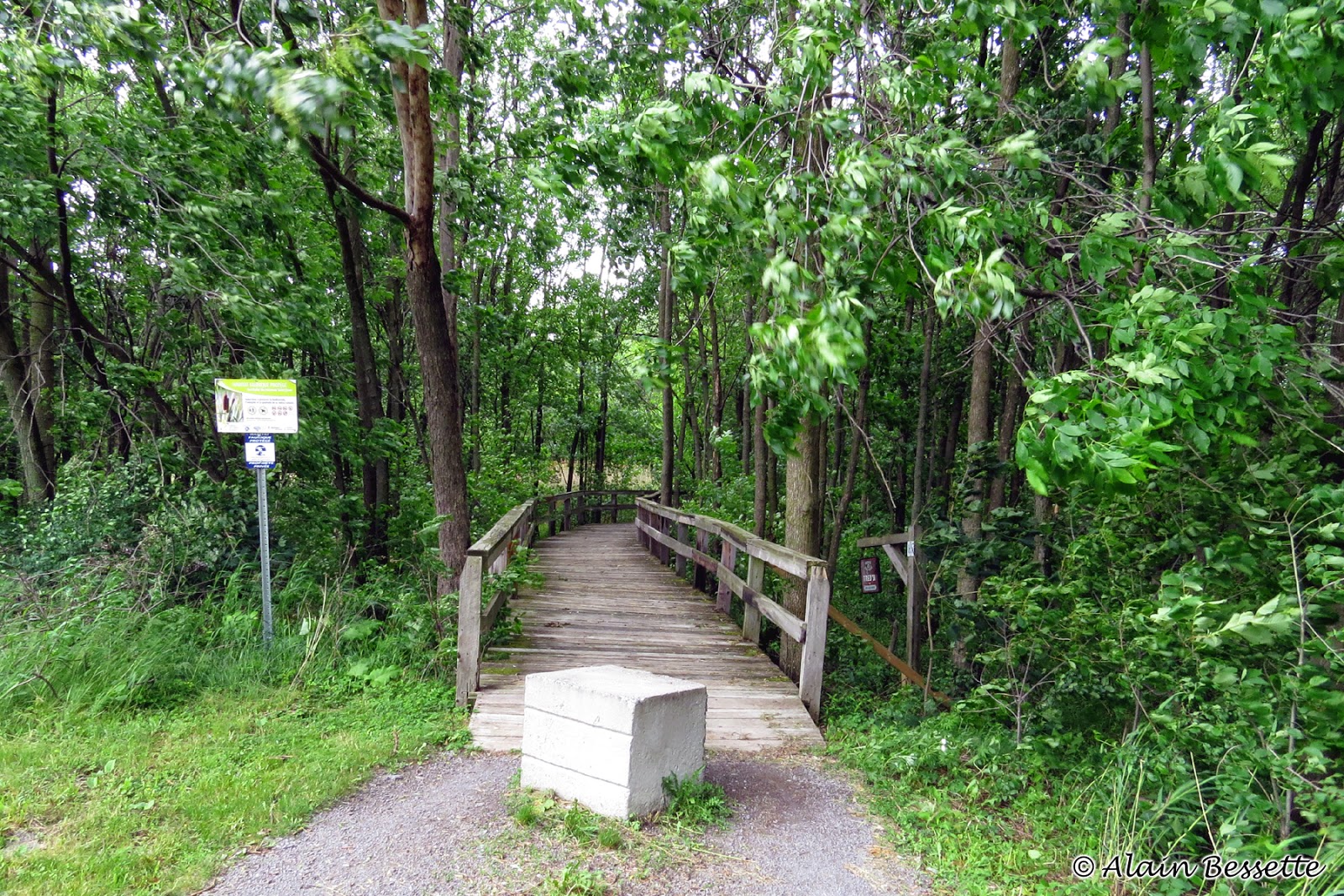 Club des ornithologues de Châteauguay Le ruisseau SaintJean à Châteauguay