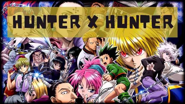Hunter X Hunter: Hunter X Hunter