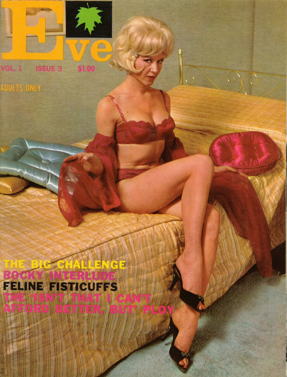 Vintage Adult Magazines 117
