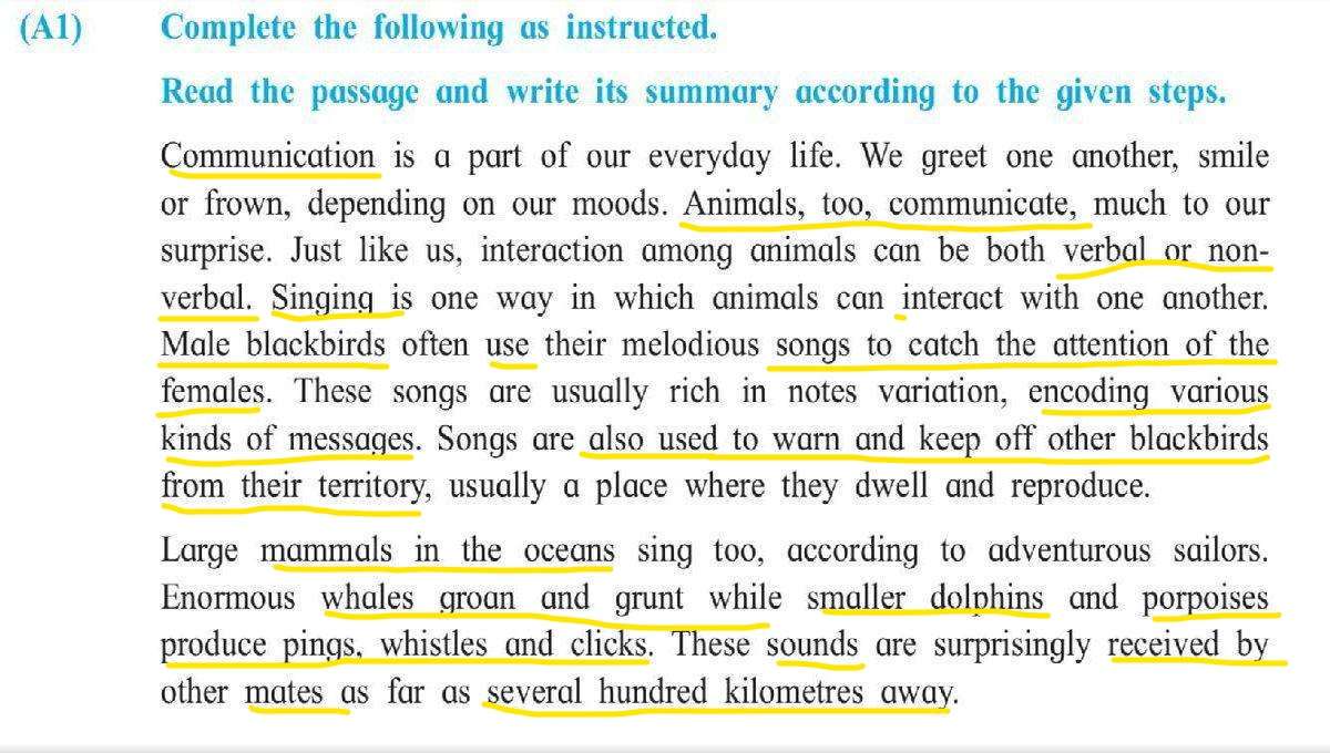 summary writing 12th class example