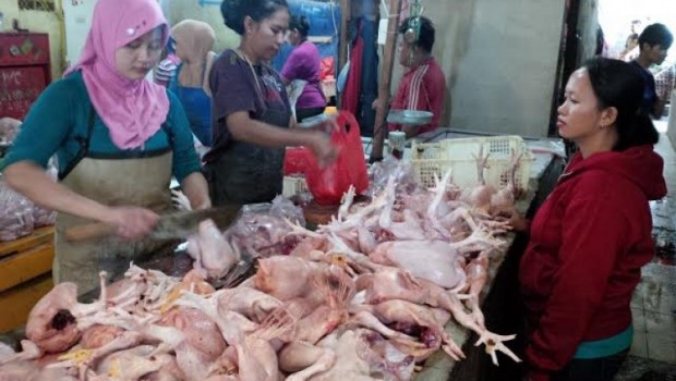 Pasar-Jual-Ayam-Segar