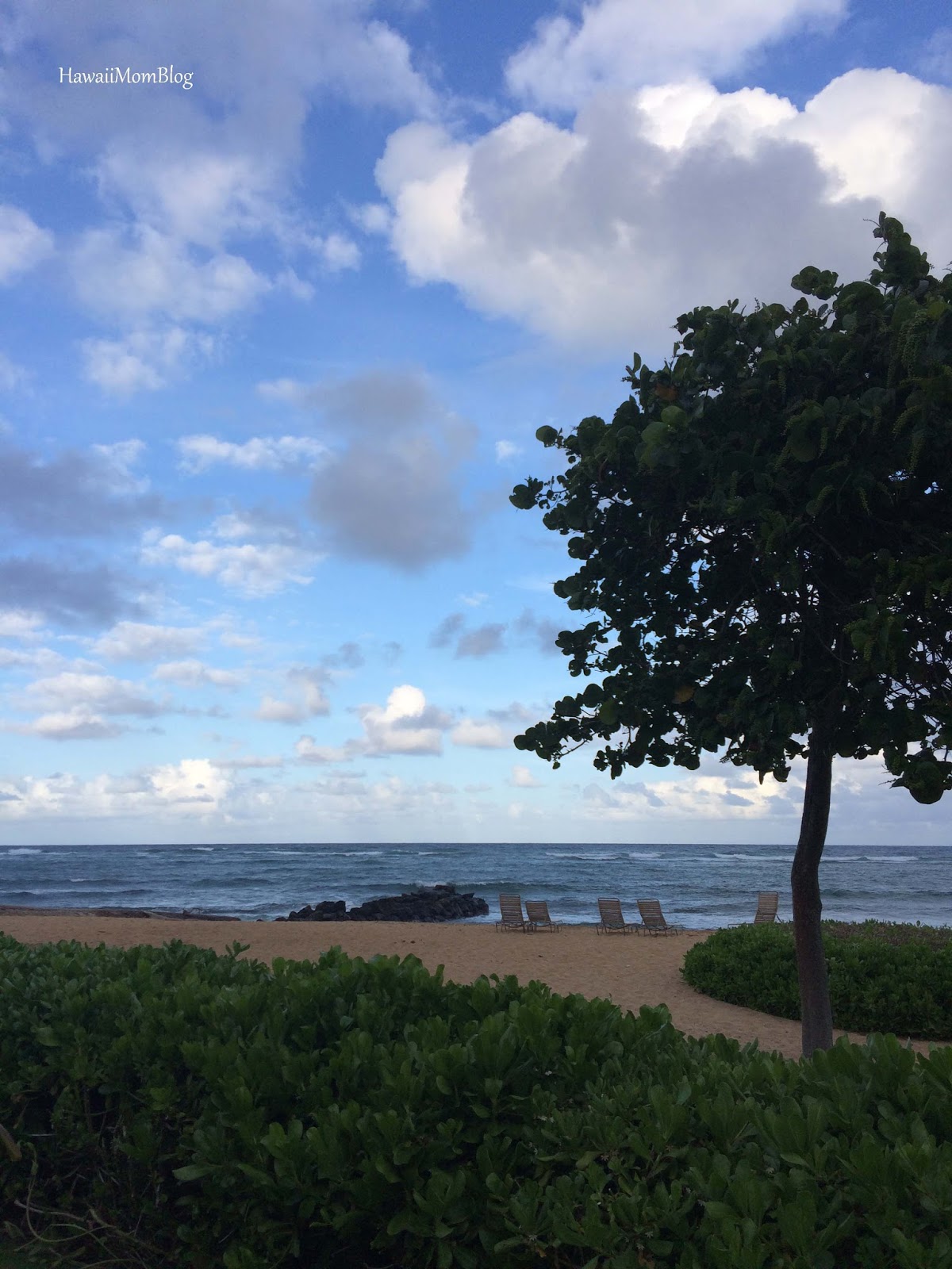 Hawaii Mom Blog Visit Kauai Oasis on the Beach