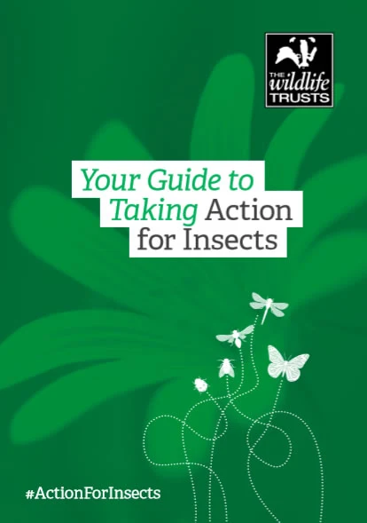 The Wildlife Trusts.Download Your Guide to Taking Action for Insects