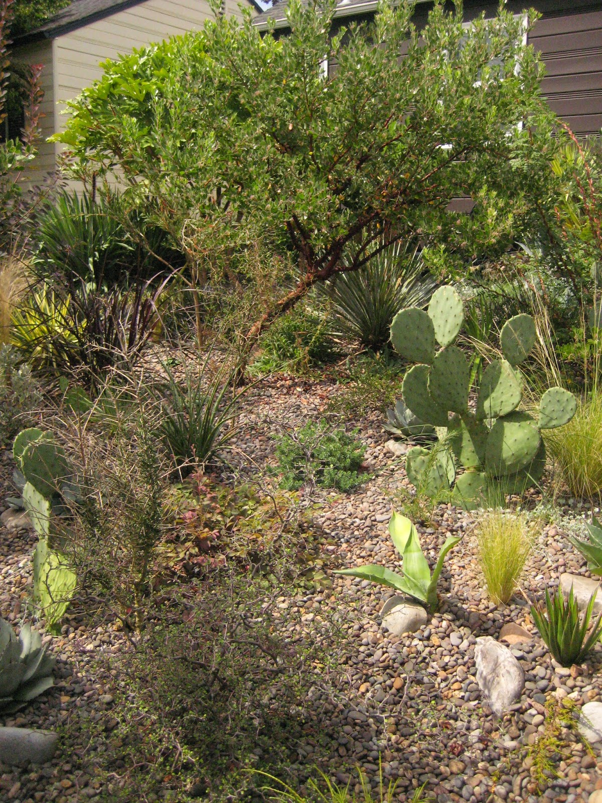 Modern Design For Your Garden Plant Spheres Sage Outdoor Designs