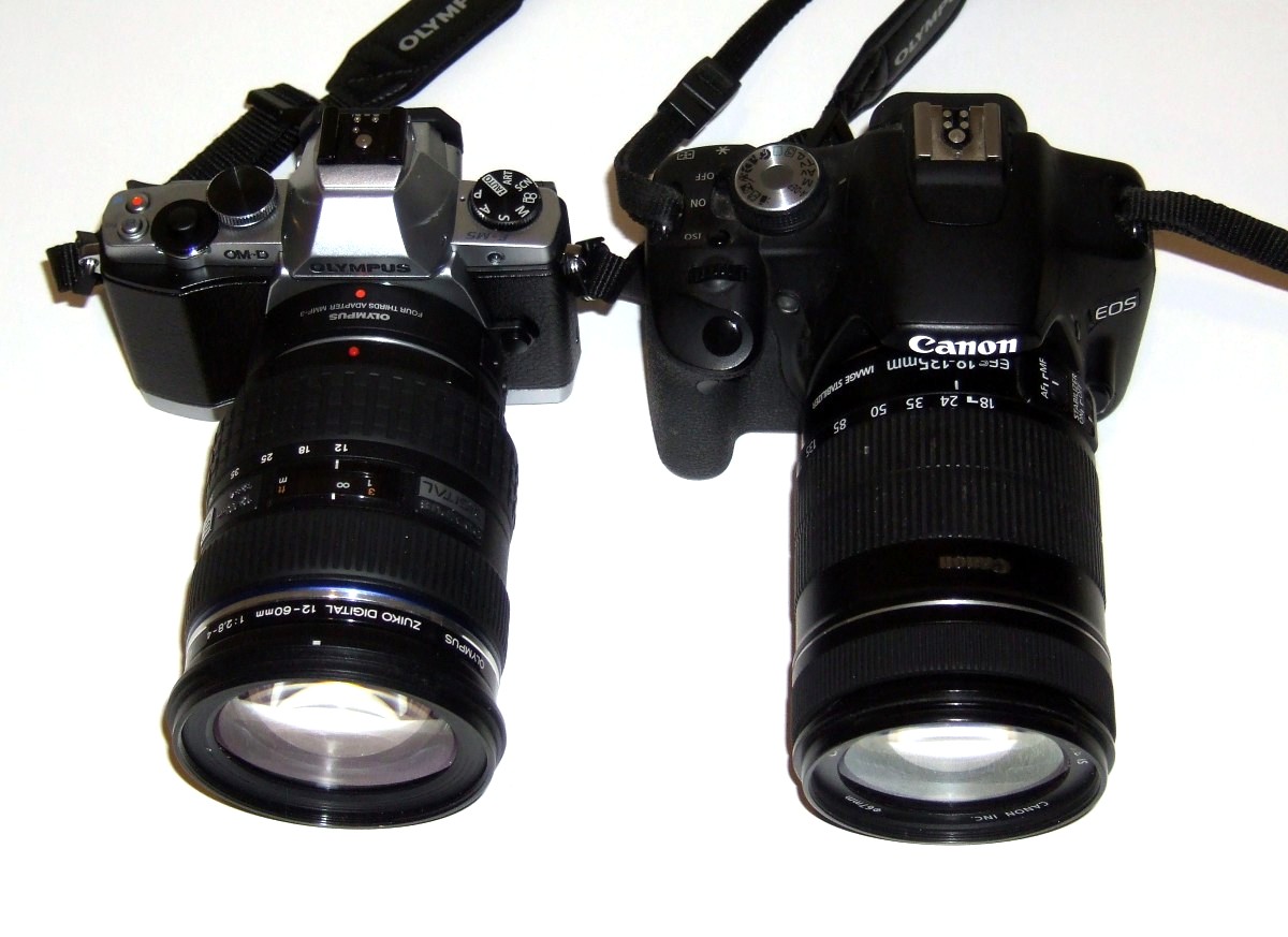 ShepFoto First Impressions Olympus OMD EM5 w/ 1260mm f/2.84.0 lens