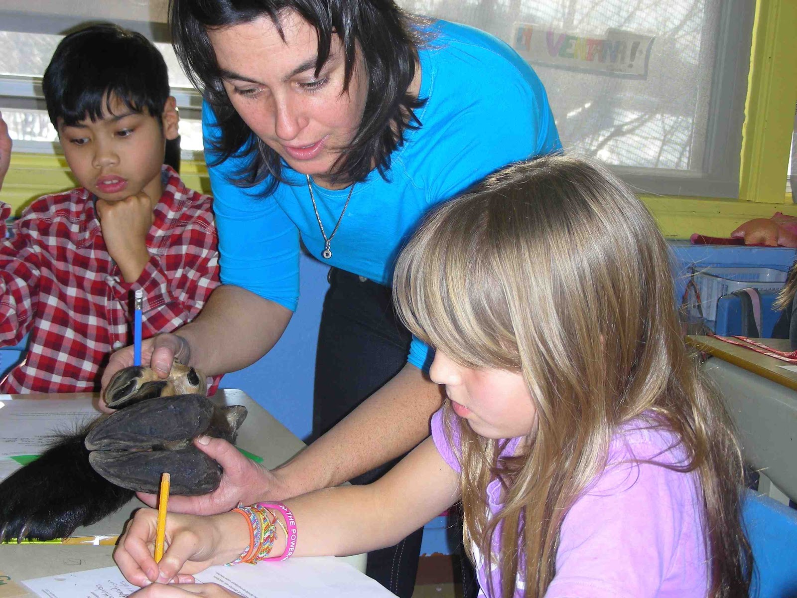 Branchés sur la faune Connected to wildlife StÉdouard, Lac Brome