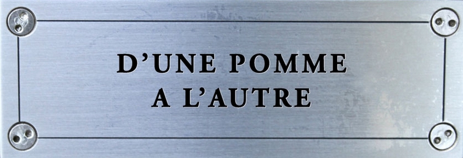 D'une pomme à l'autre - NYC