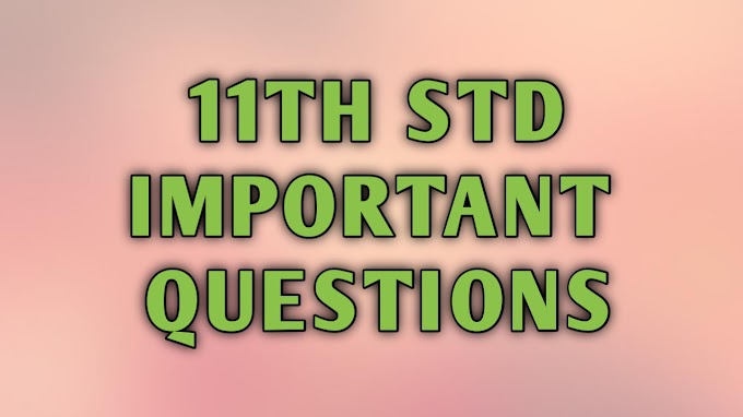 11th Important Questions