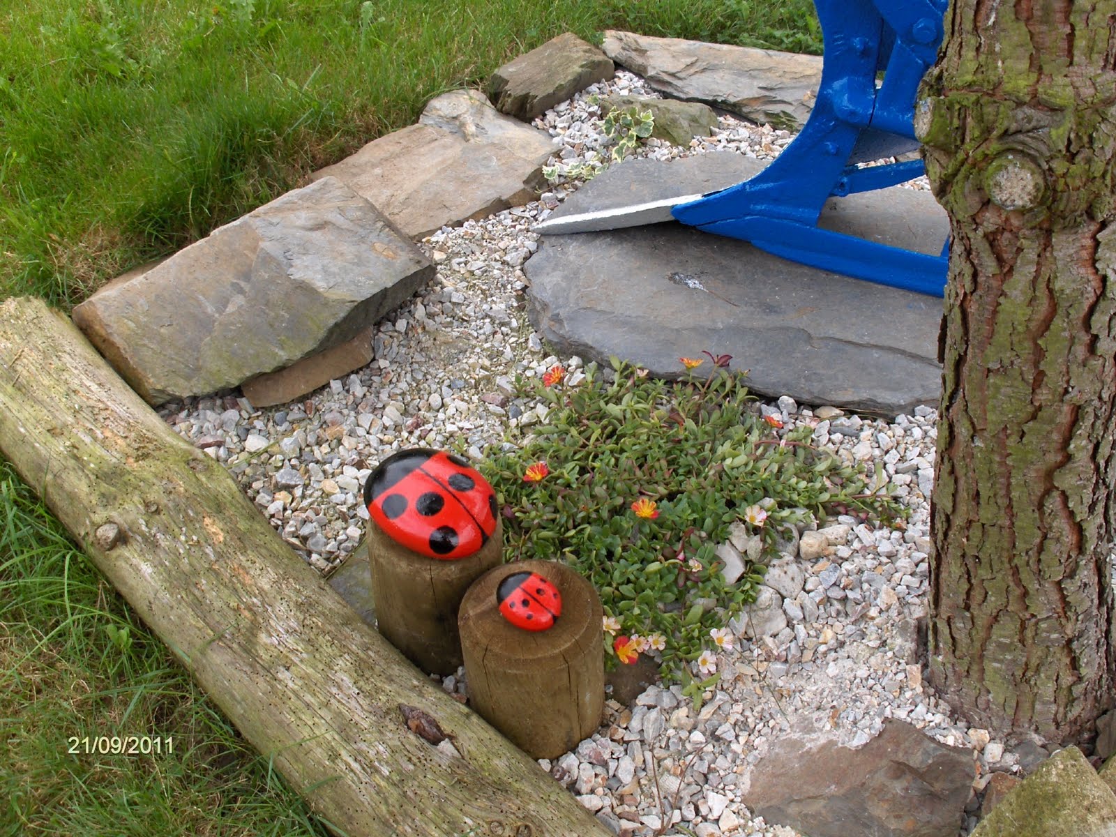 Aprendiz pintar piedras para decorar jardín unas mariquitas