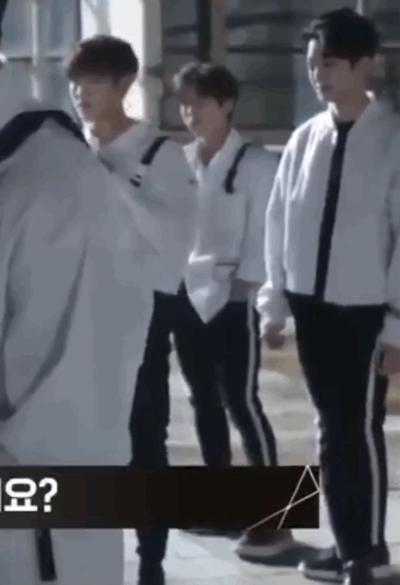 SourSeparateGuillemot-size_restricted.gi