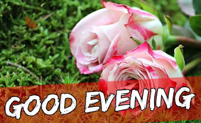 Good Evening Images Good Evening Images