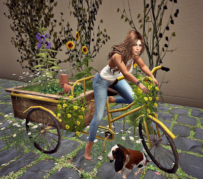 CJ%2BRelaxing%2BTricycle%2BFlower%2BCart-02_001.jpg