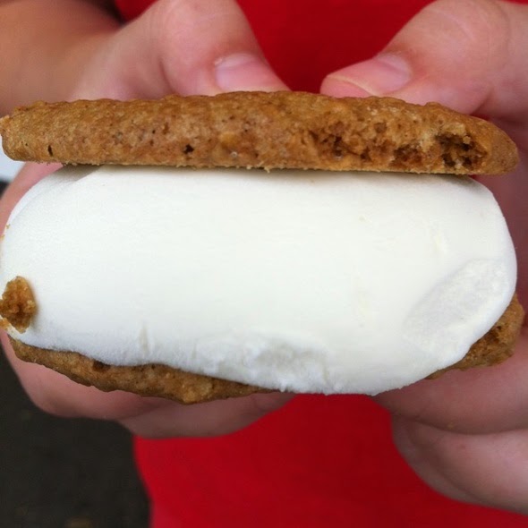 Post Marathon Ice Cream Ted Drewes Frozen Custard Sandwich made with