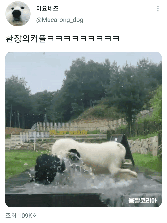 umjjal_kr_173.gif