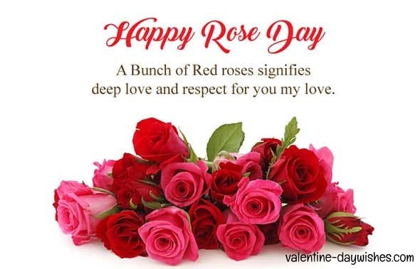 Rose day Images 2020 Rose day Images 2020