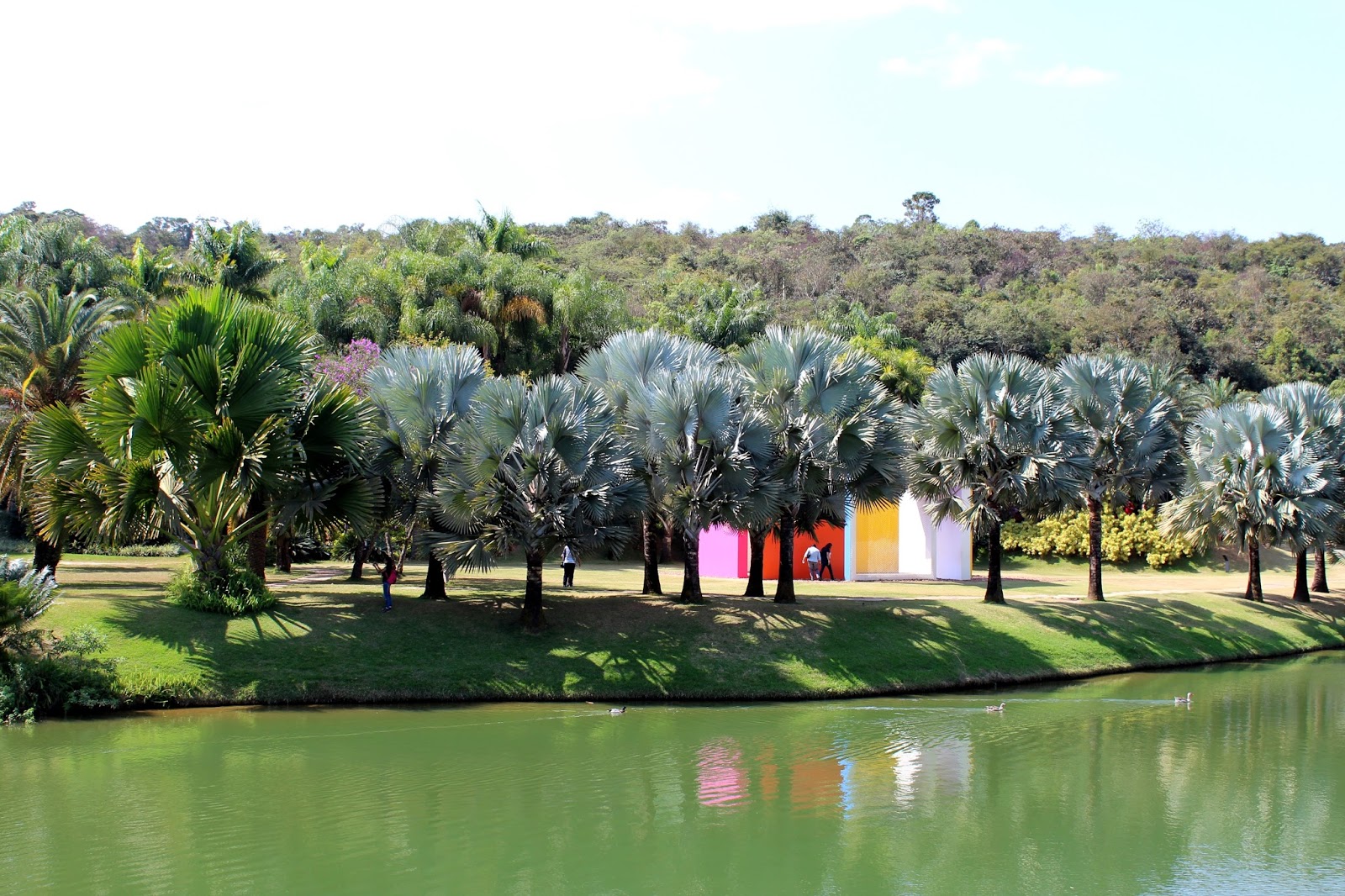Aline Hannun Artista Plástica Instituto Inhotim o maior museu de