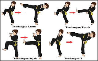 Pencak Silat atau Silat (Seni Bela Diri) asli Indonesia