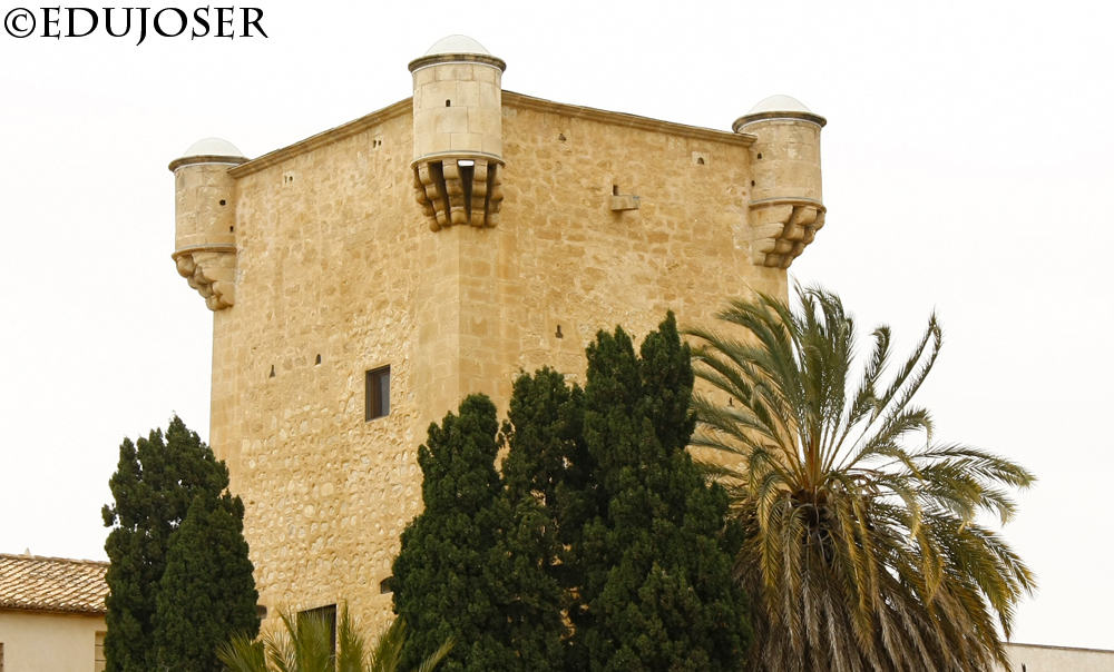 EDUJOSER TORRE DE LA SANTA FAZ (Alicante)