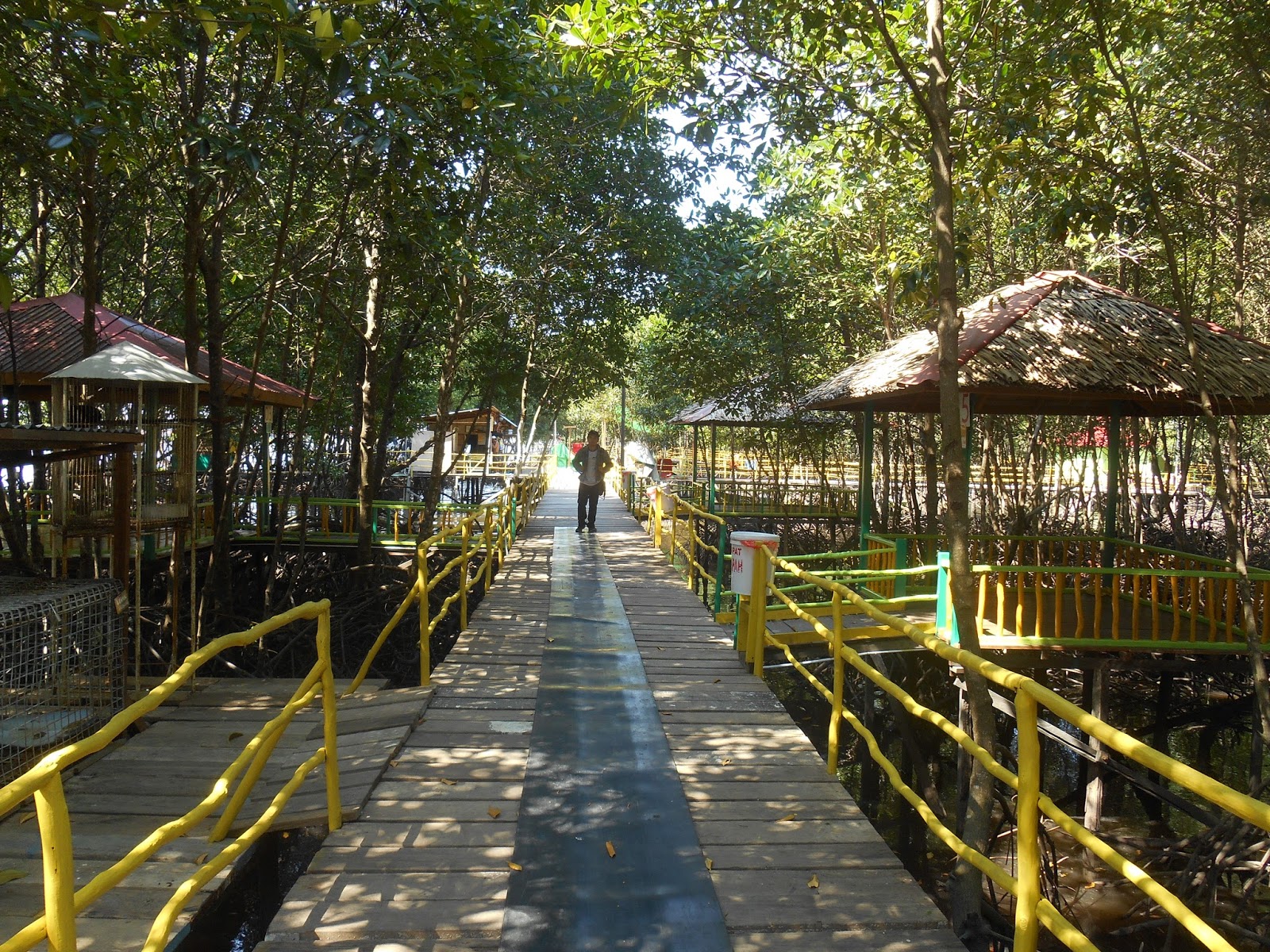 Taman Wisata Mangrove Bontang Kaltim