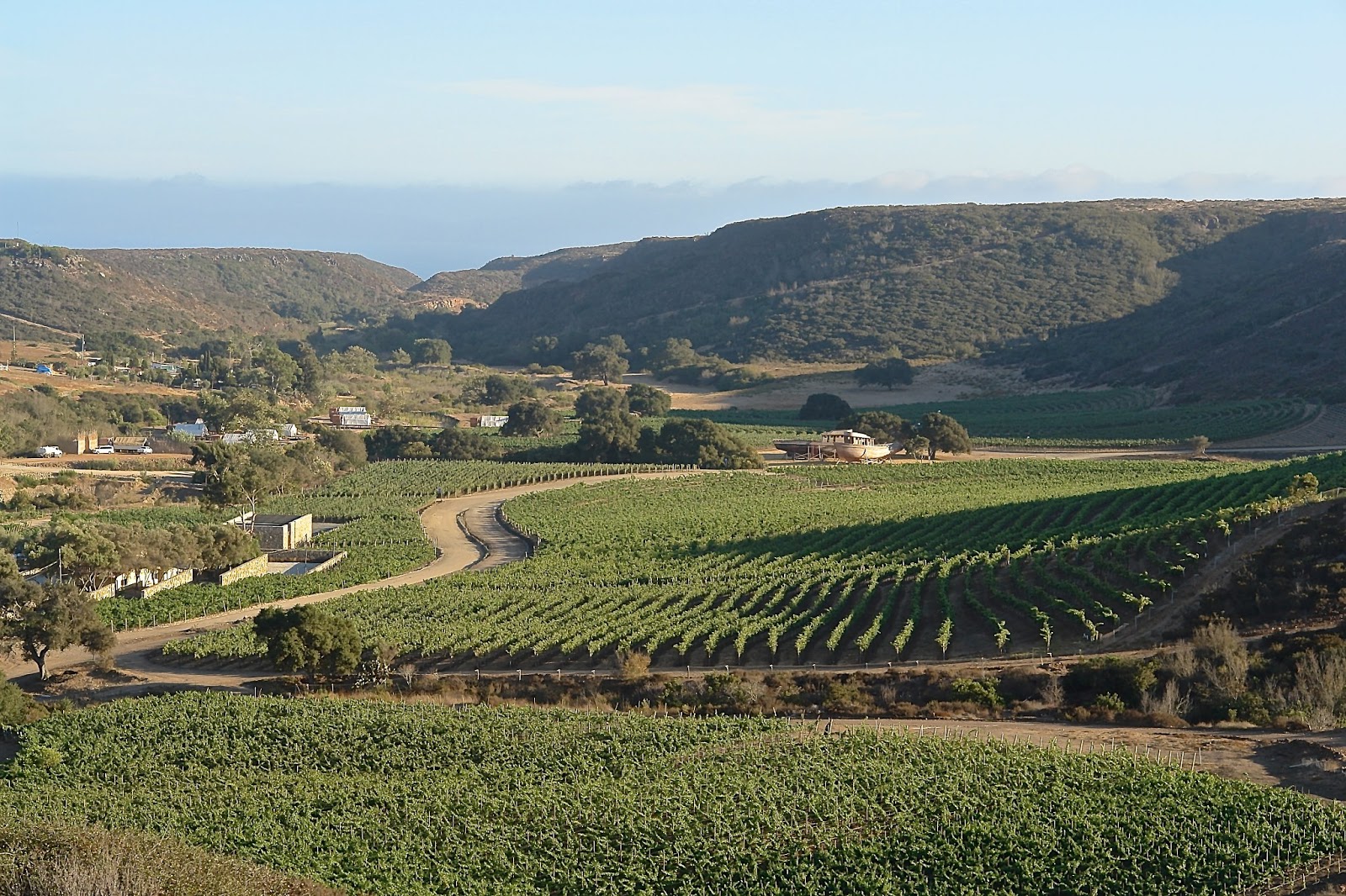matilde valle de guadalupe matilde valle de guadalupe