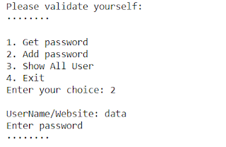 password saver python