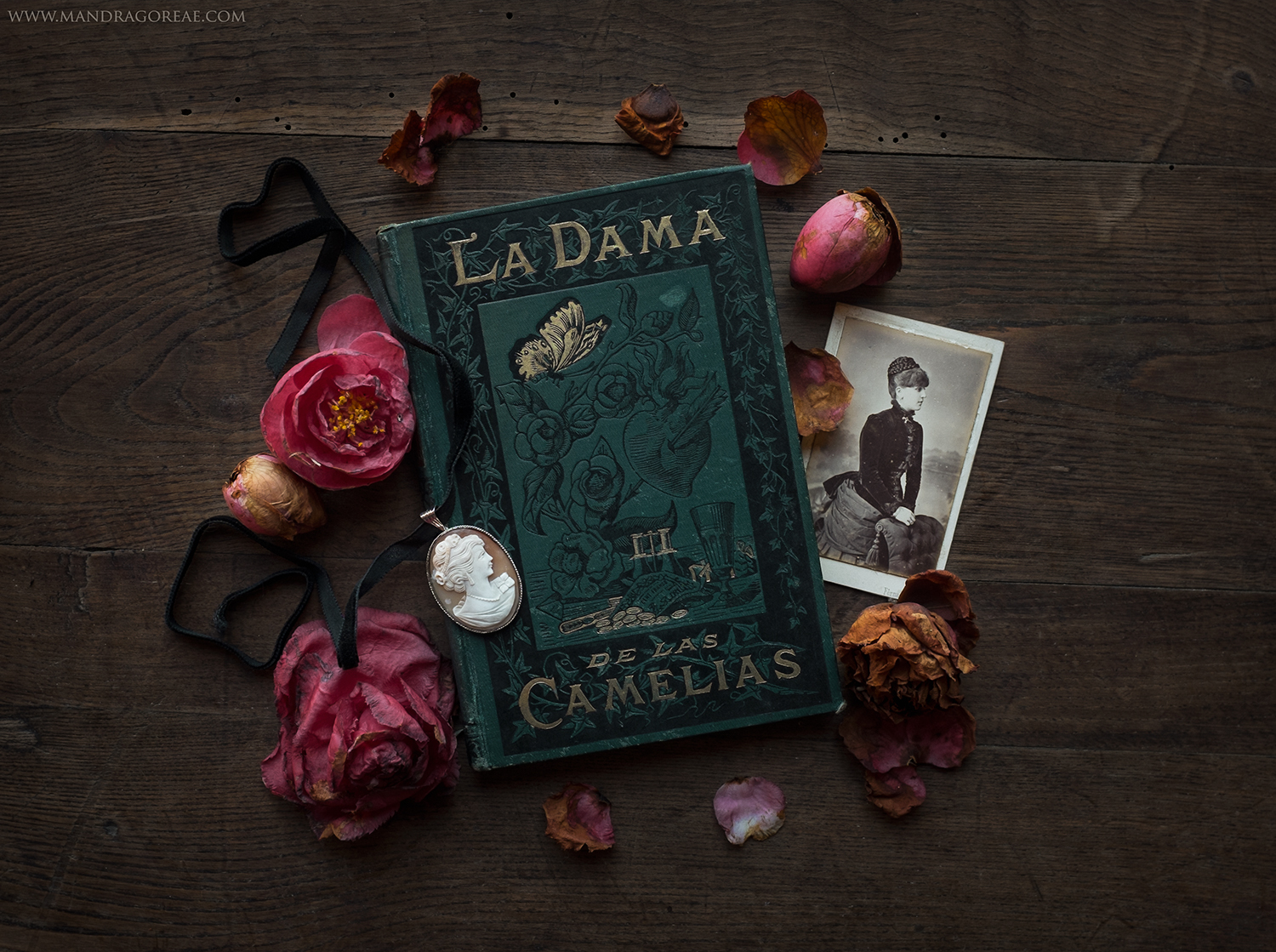 La Dame Aux Camélias Nombre De Pages La Dame aux Camèlias