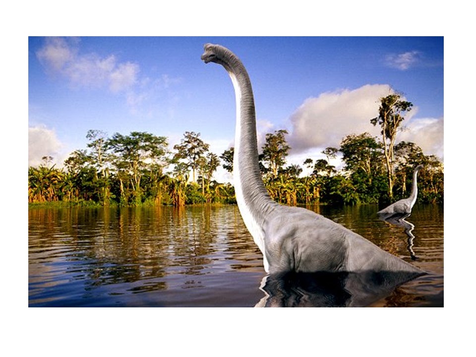 Biology THE CYCLES OF MATTER