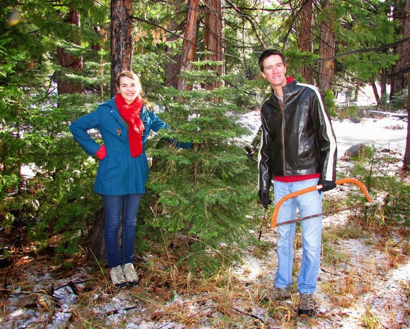 Christmas Tree Cutting in Tahoe... HAERR TRIPPIN'