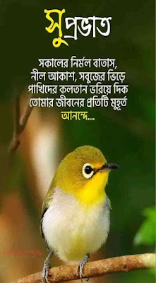 good morning in bengali image