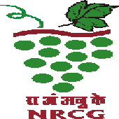 NRCGRAPES Recruitment 2017, www.nrcgrapes.nic.in