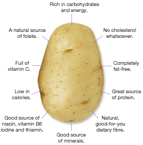 kandungan giizi kentang, kandungan gizi dalam kentang, budidaya kentang, jenis jenis kentang, varietas kentang, kentang, kandungan kentang