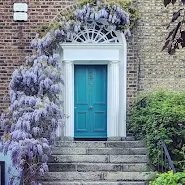 Dublin door with blooming wisteria on Haddington Road