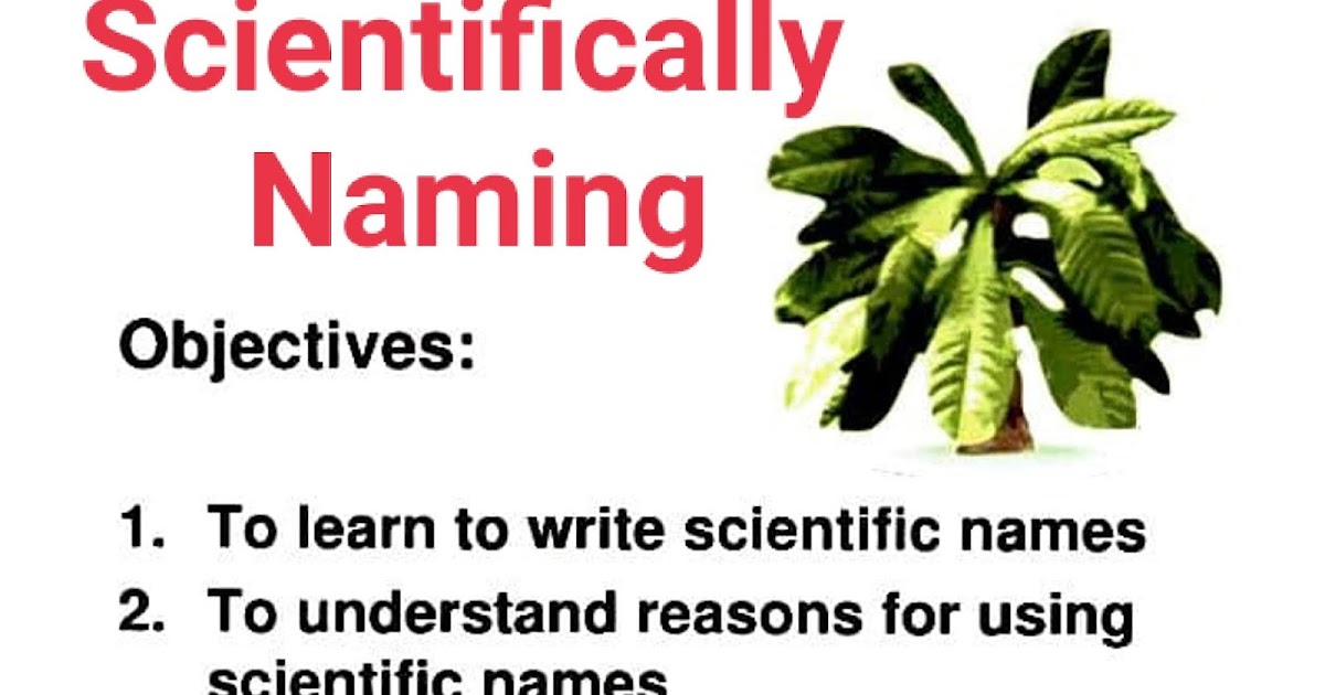Scientific Nomenclature ,International Code of Nomenclature,Short from