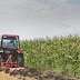 Προτάσεις στήριξης της αγροκτηνοτροφικής παραγωγής στην Ήπειρο και μέτρα στήριξης των μικρών παραγωγής...