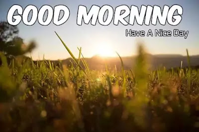 Good Morning Images Good Morning Images