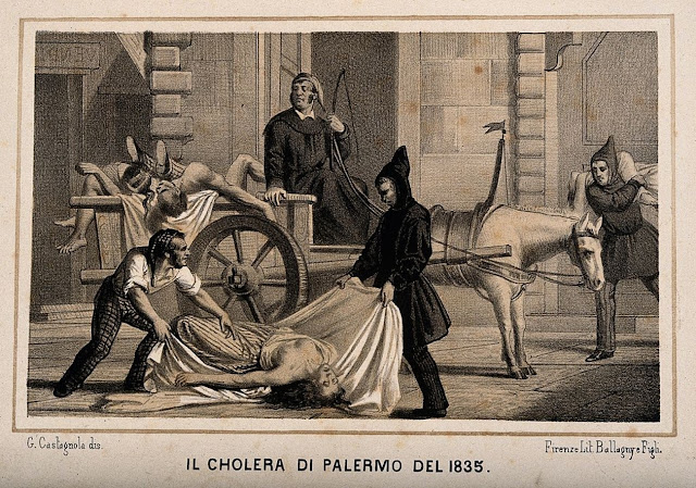 Холера, XIX век