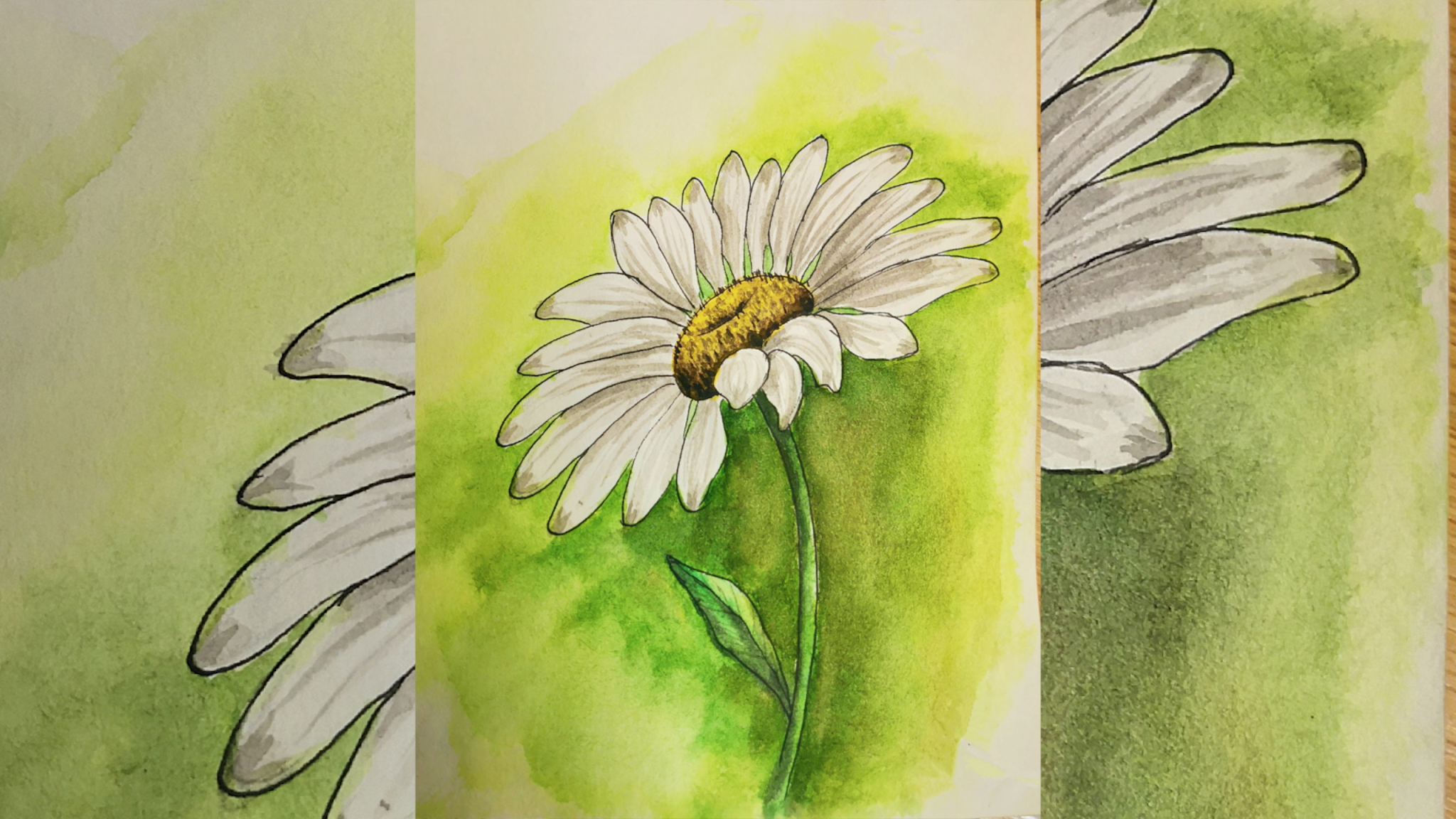 Draw + Paint a Daisy in Watercolour – Surely Simple