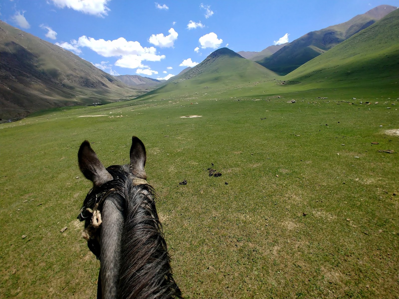 konna wycieczka kirgistan Kol Ukok