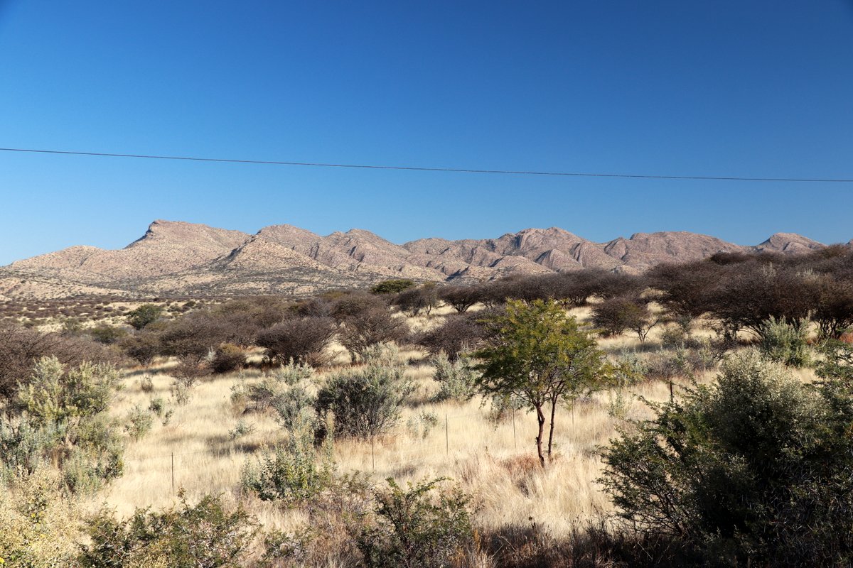 Вшестером по Намибии на джипах в пандемию