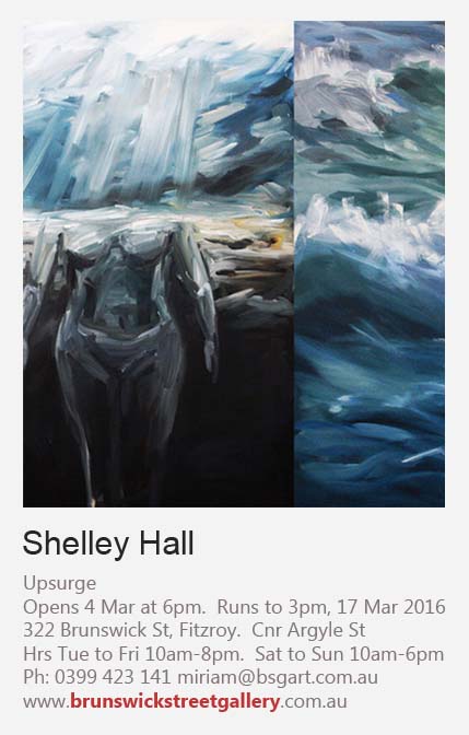 shelley hall artist