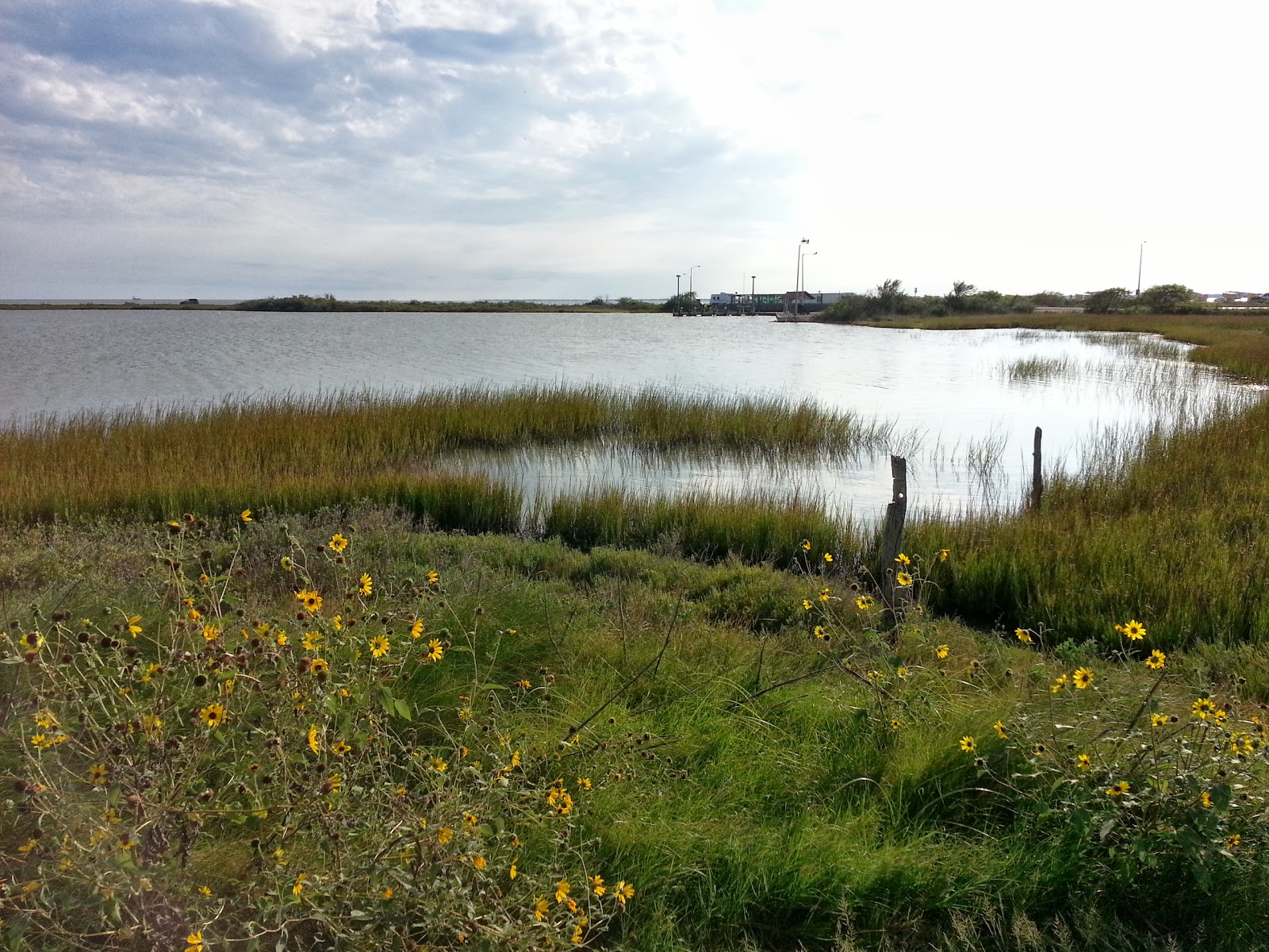 My Texas Parks and Outdoors Goose Island State Park Review