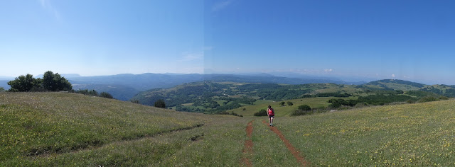 Le Pech de Bugarach au-dessus de la tête de la dame.