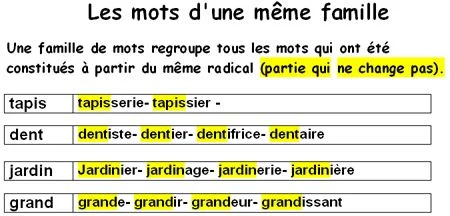 Mot de la même famille que " bras"  bras