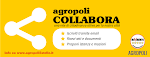 Agropoli COLLABORA