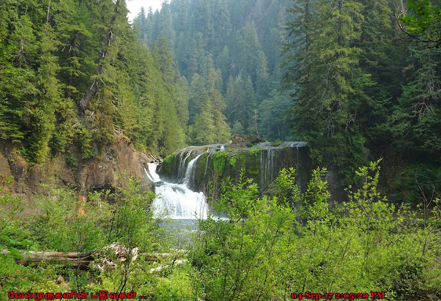 Upper Falls in Lewis River