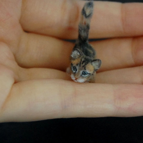 01-Calico-Kitten-ReveMiniatures-Miniature-Animal-Sculptures-that-fit-on-your-Hand-www-designstack-co