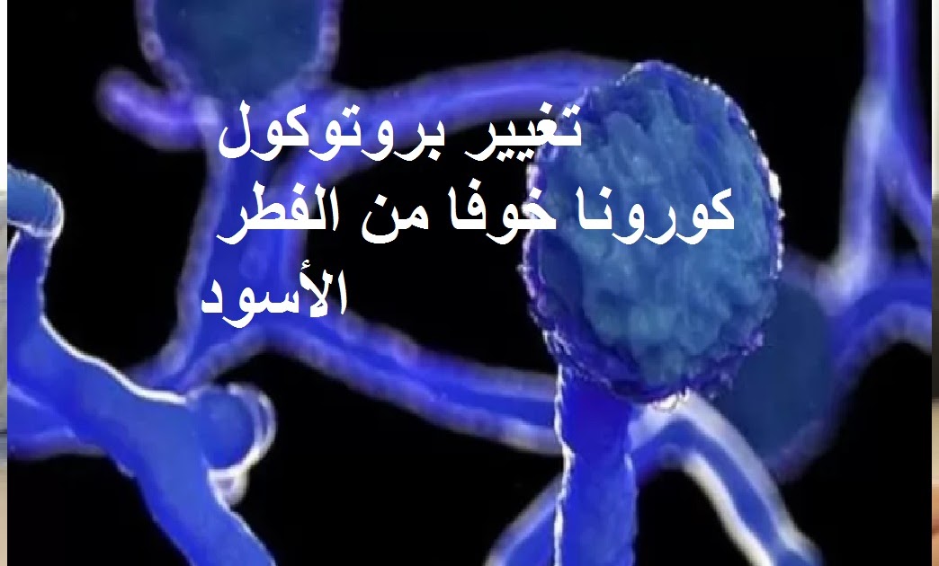 تغيير بروتوكول كورونا خوفا من الفطر الأسود تغيير بروتوكول كورونا خوفا من الفطر الأسود