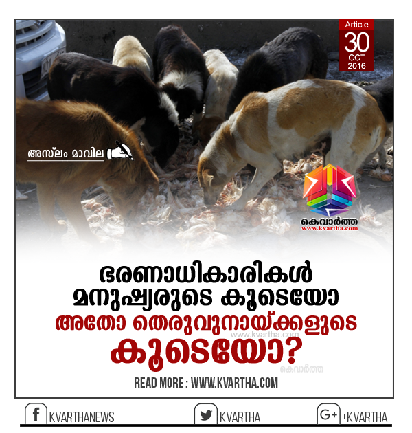 Article, Dog, attack, Assault, Stray dog issues in Kerala, Thiruvananthapuram, Varkala, Aslam Mavila, Waste, Cleaning, Pharmacy.
